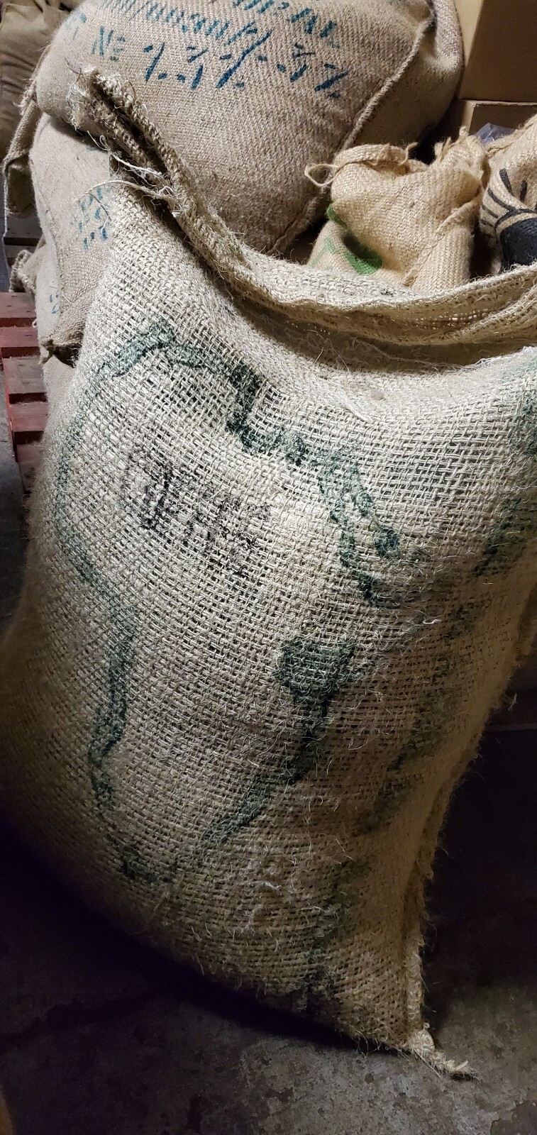 5 LB AFRICA KENYA KENYAN GREEN UNROASTED COFFEE BEANS FIVE POUND – ARABICA