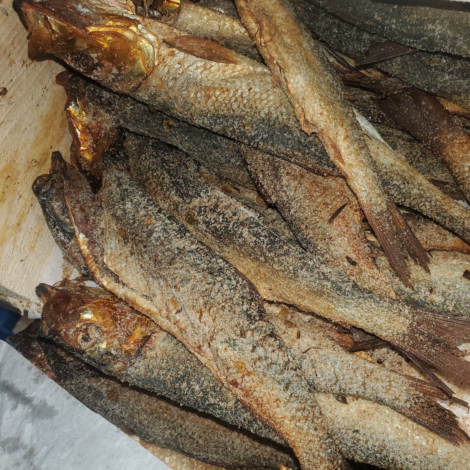 Salted SMOKE HERRING 1lb+ to 18lb /buy 5lb get 1lb free