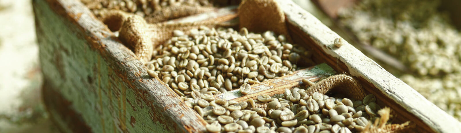 5 LBS HIGH ALTITUDE PERUVIAN PERU UNROASTED GREEN COFFEE BEANS – ORGANIC ARABICA