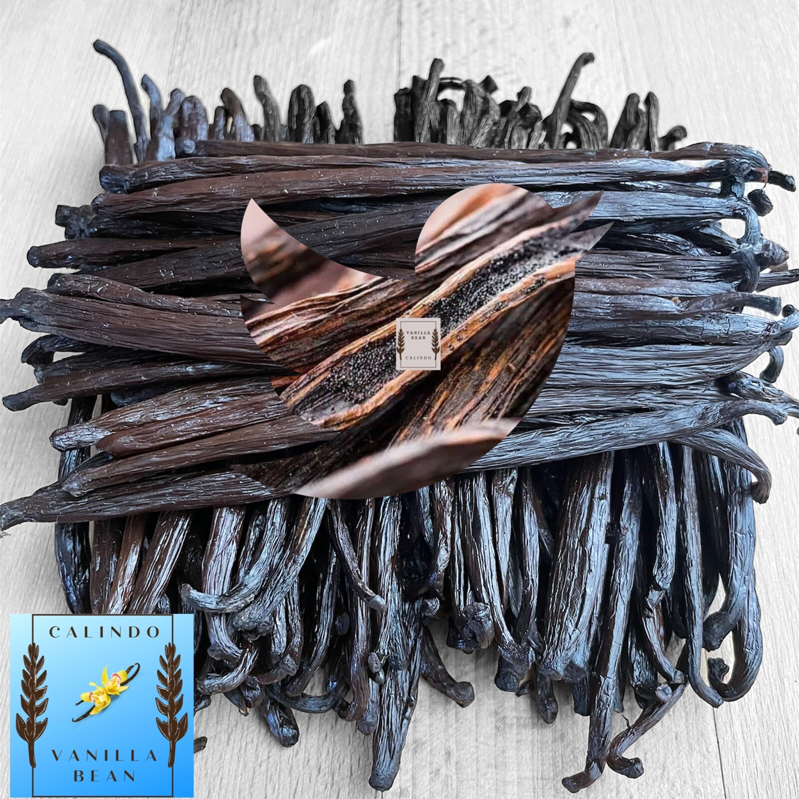 Gourmet Madagascar Bourbon Vanilla Beans Grade A | 6″++ Long Beans