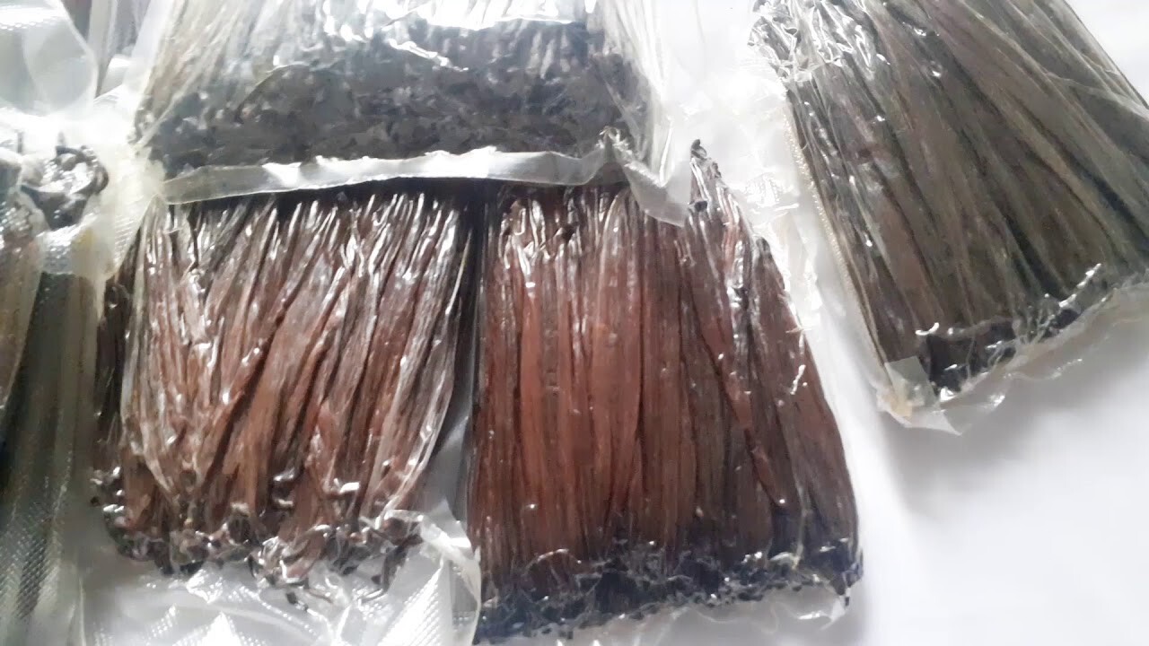 Vanilla Beans ORGANIC 2 POUNDS Grade B GREAT For Extract TWO POUNDS !!