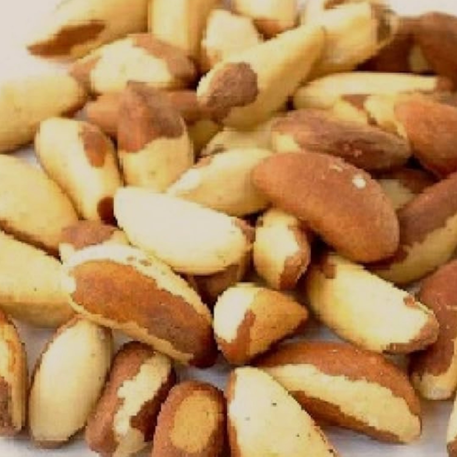 RAW BRAZIL NUTS PREMIUM- BULK VALUE BAG LIMITED PICK YOUR BAG SIZE NOW!!