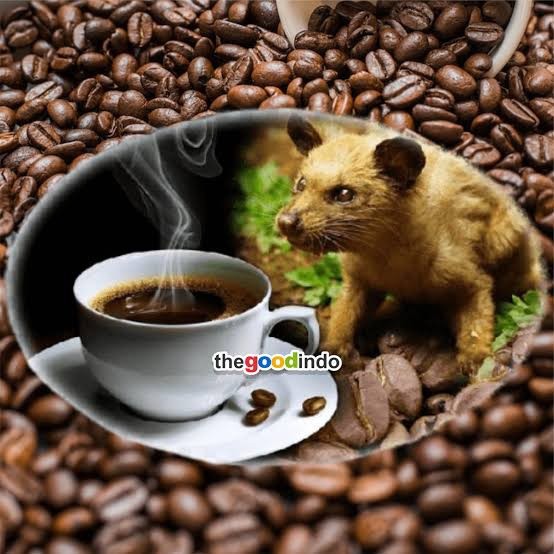 ☕ “Best / Most Expensive” Kopi Luwak 🥇 50 grams (1.75 oz) — BEST SELLER |