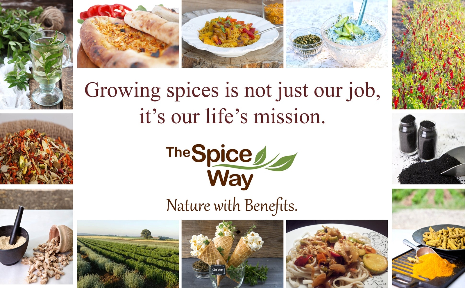 The Spice Way True Ceylon Cinnamon Sticks