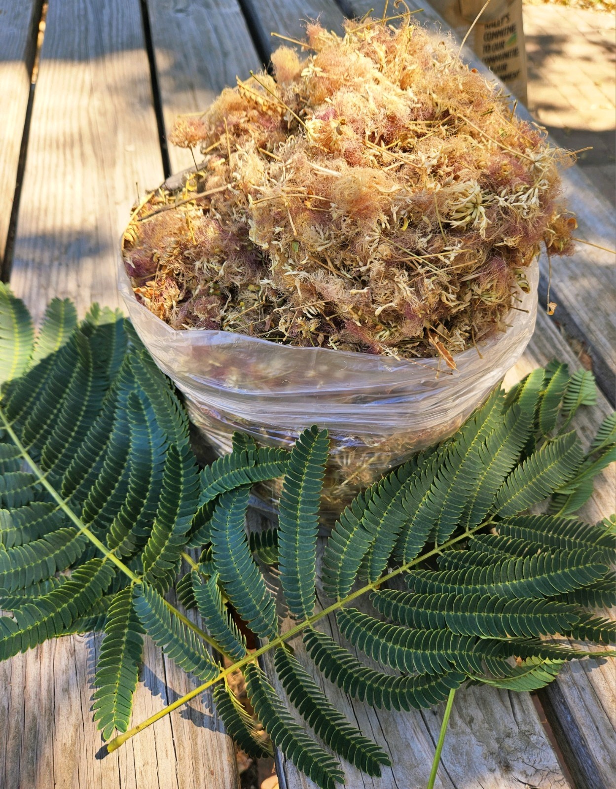 Dried Silk Mimosa Tree Fragarant Pink Flowers Tea Tincture Albizia Julibrissin