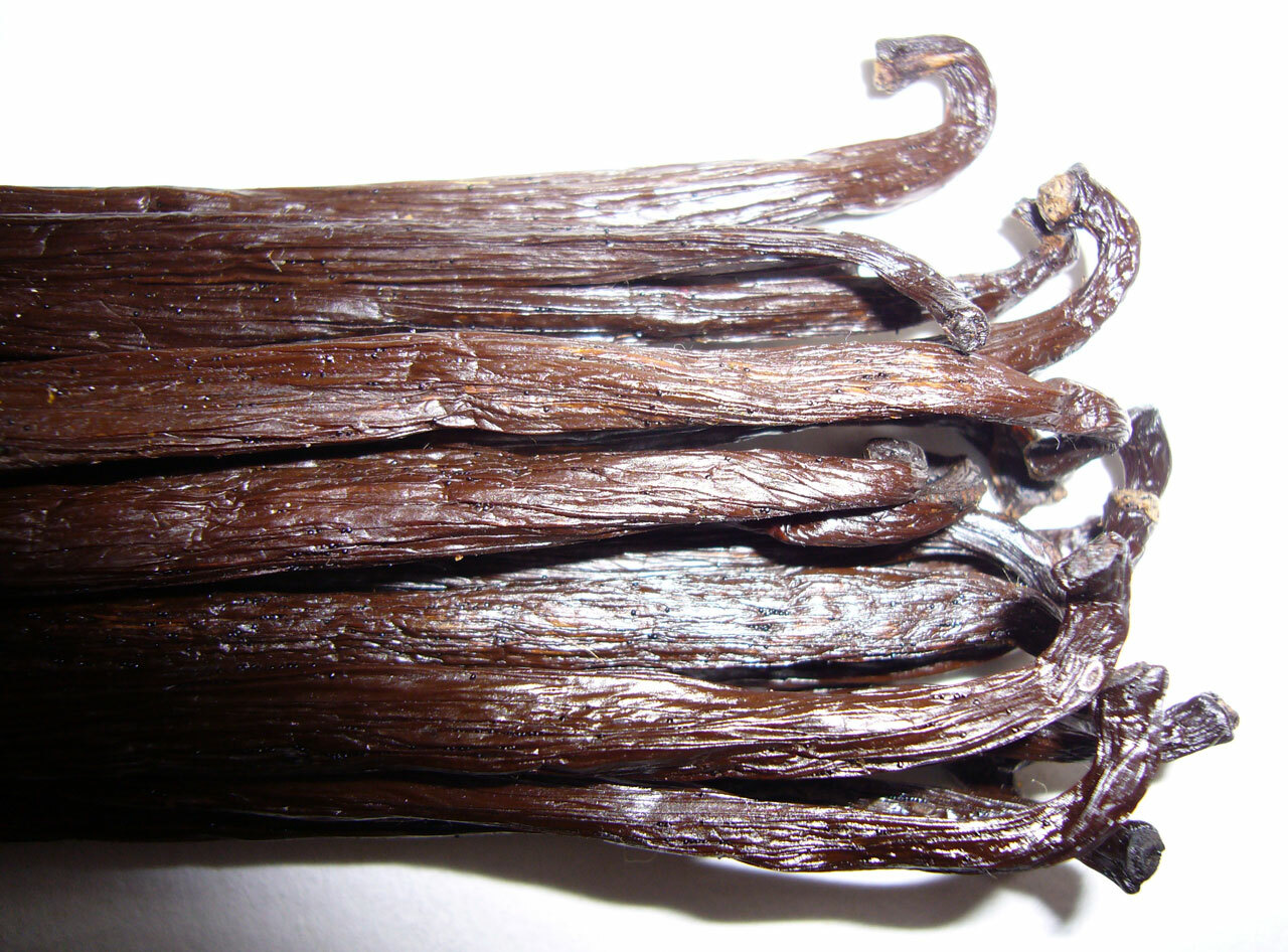 10 Fresh Madagascar Organic Grade A Bourbon Vanilla Beans [Whole]