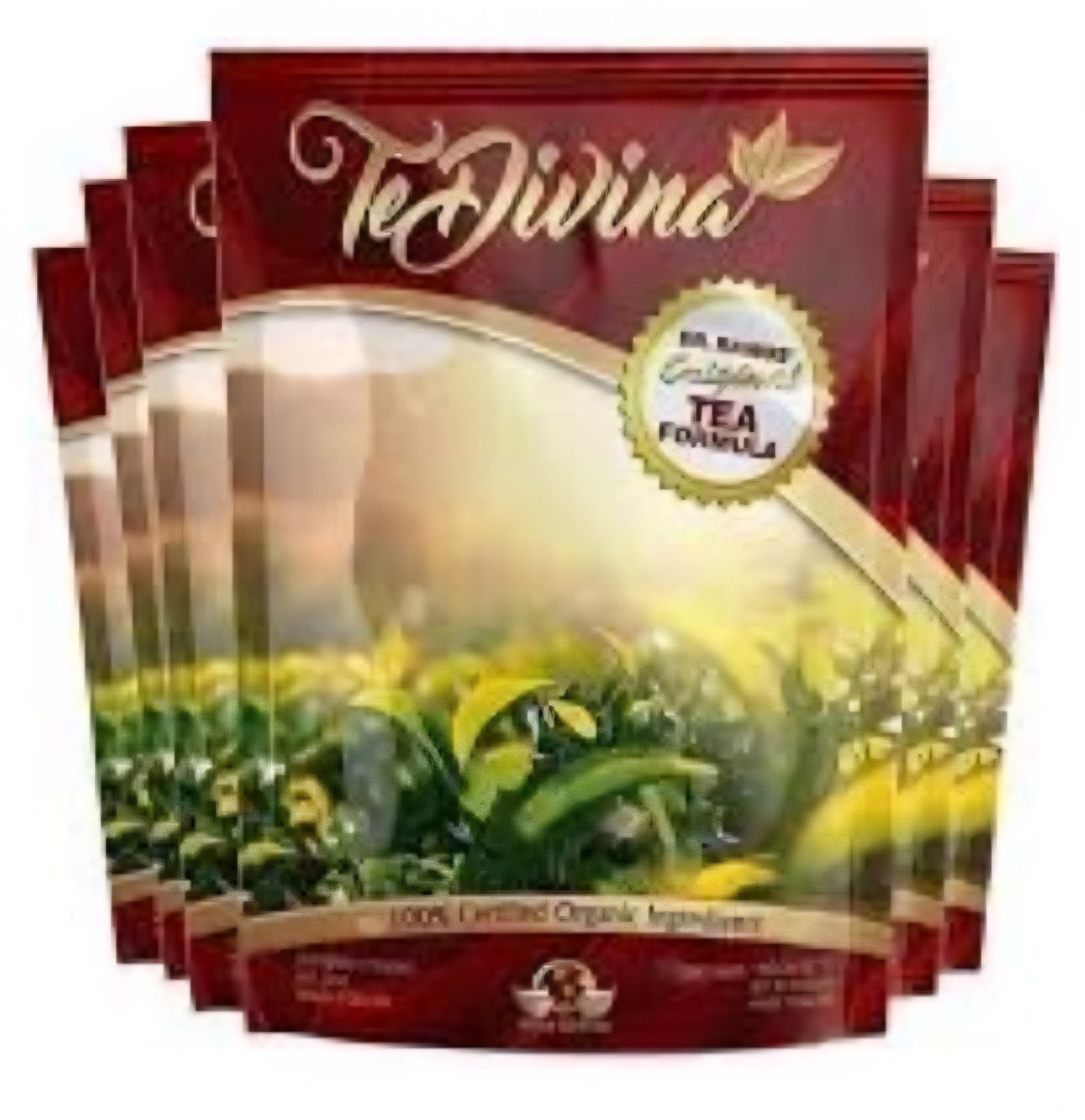 TeDivina Organic Bagged Tea 6 Pack 100% Certified Ingredients Pantry