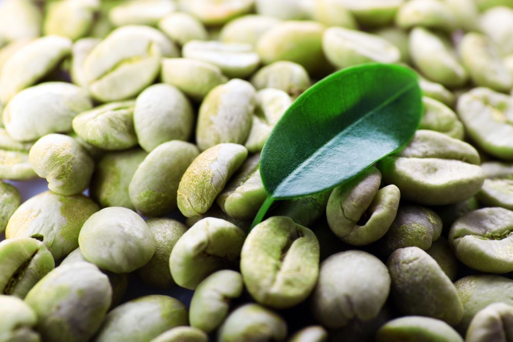 2lb/40lb – Costa Rica Tarrazu – Specialty Grade – Unroasted Green Coffee Beans