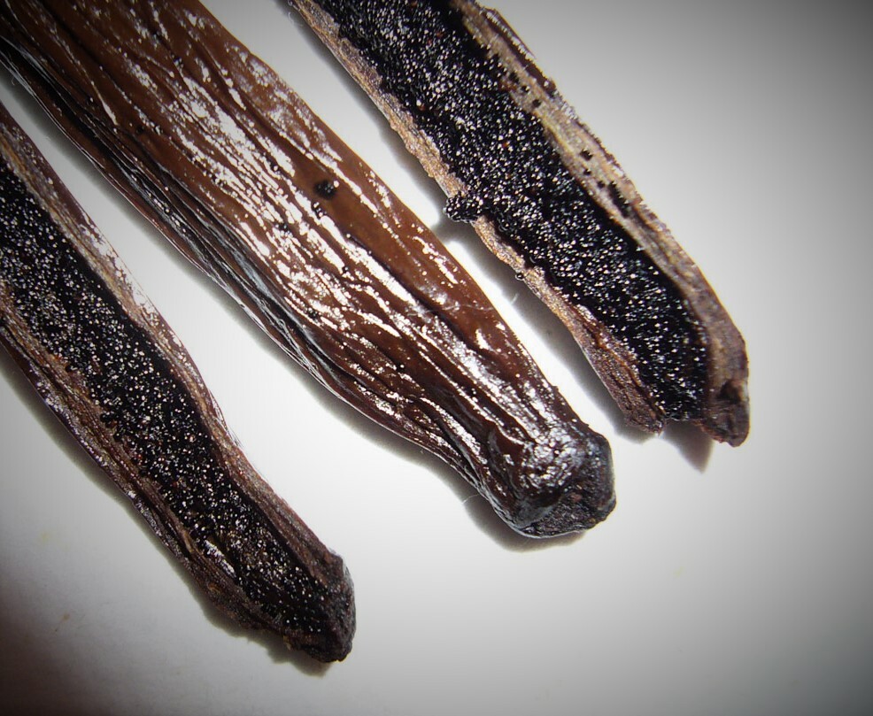 10 Fresh Madagascar Organic Grade A Bourbon Vanilla Beans [Whole]
