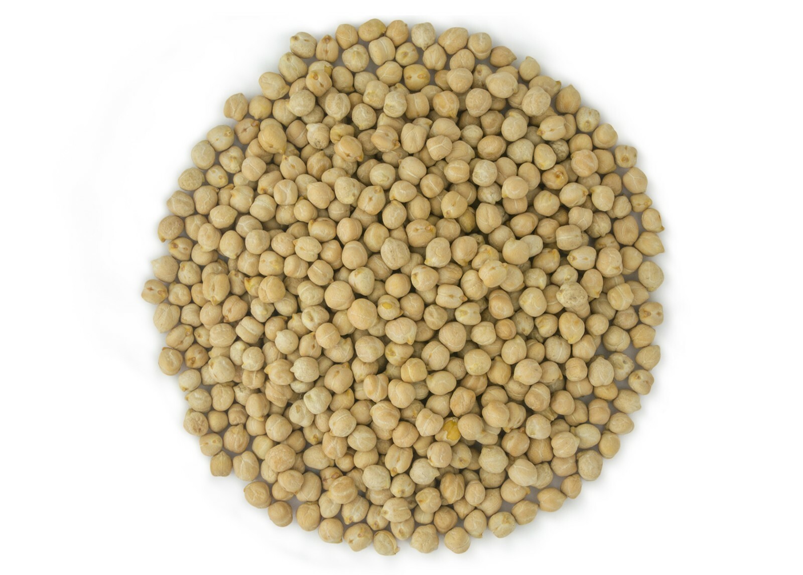 USA Grown Garbanzo Beans ‘ChickPeas’ Kabuli ‘Chana’ Raw/Non-GMO