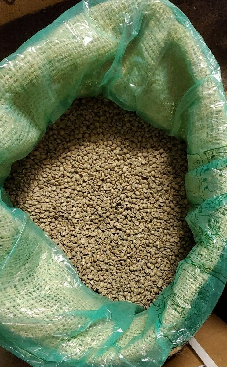 5 LB AFRICA KENYA KENYAN GREEN UNROASTED COFFEE BEANS FIVE POUND – ARABICA