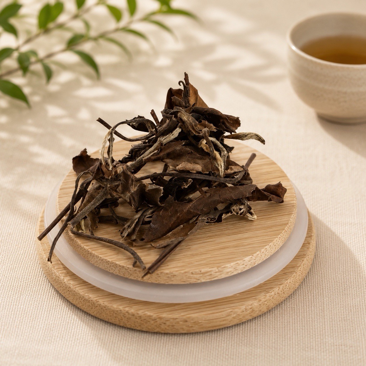 Premium Fujian Shoumei WhiteTea 56g
