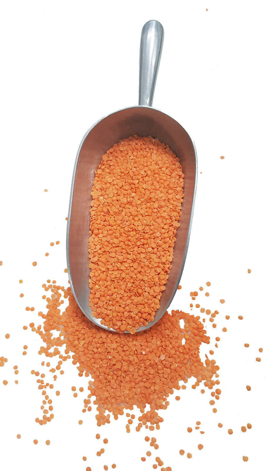 Organic Red Split Lentils aka Masoor Dal low calories rich in Iron and Protein