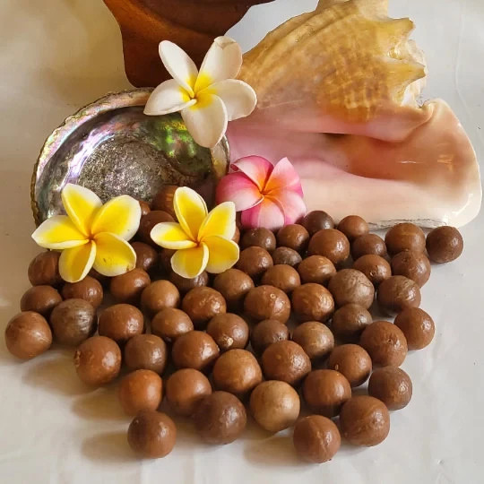 FRESH HAWAII GROWN Macadamia Nuts Organic Raw 5 lbs. Mac Nuts FAST FREE SHIPPING