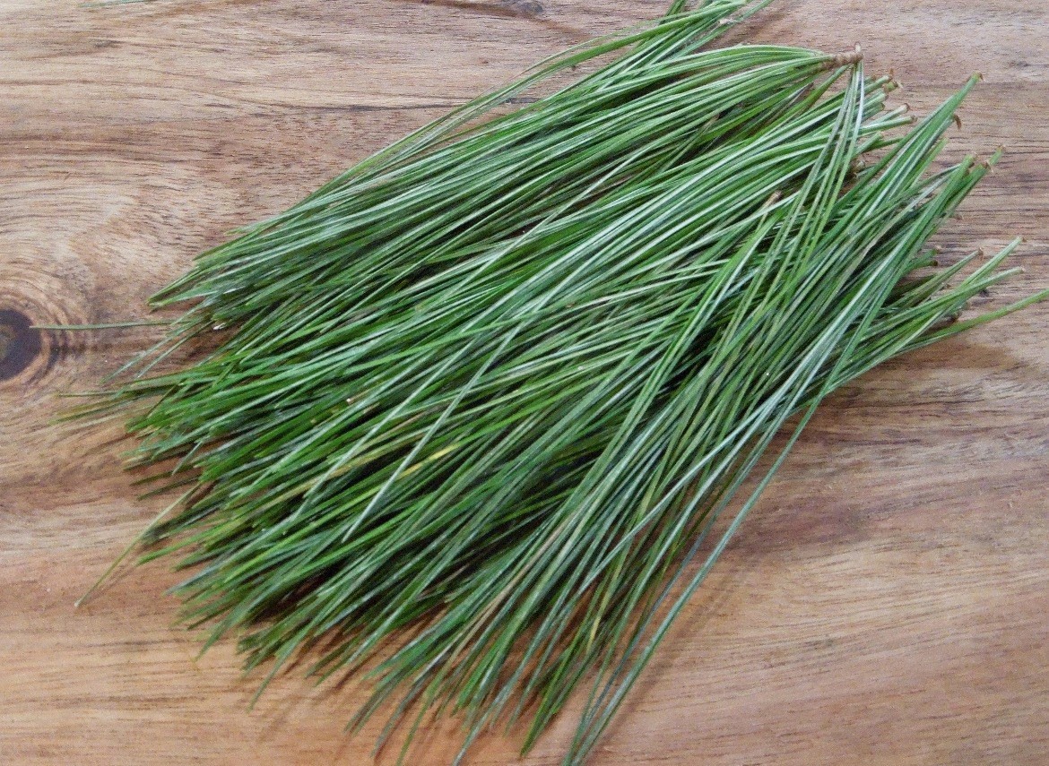 Dried White Pine Needles – 1/2 Pound (8 Oz) – 100% Organic Air Dried Premium