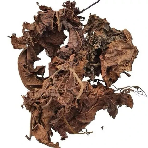 Djeka Leaves, Djeka Roots , Feuille De Djeka , Okhamare 1.0z