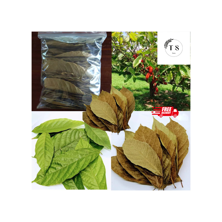 Dried cocoa leaves 50g 100% Organic Natural leaves from Sri Lanka