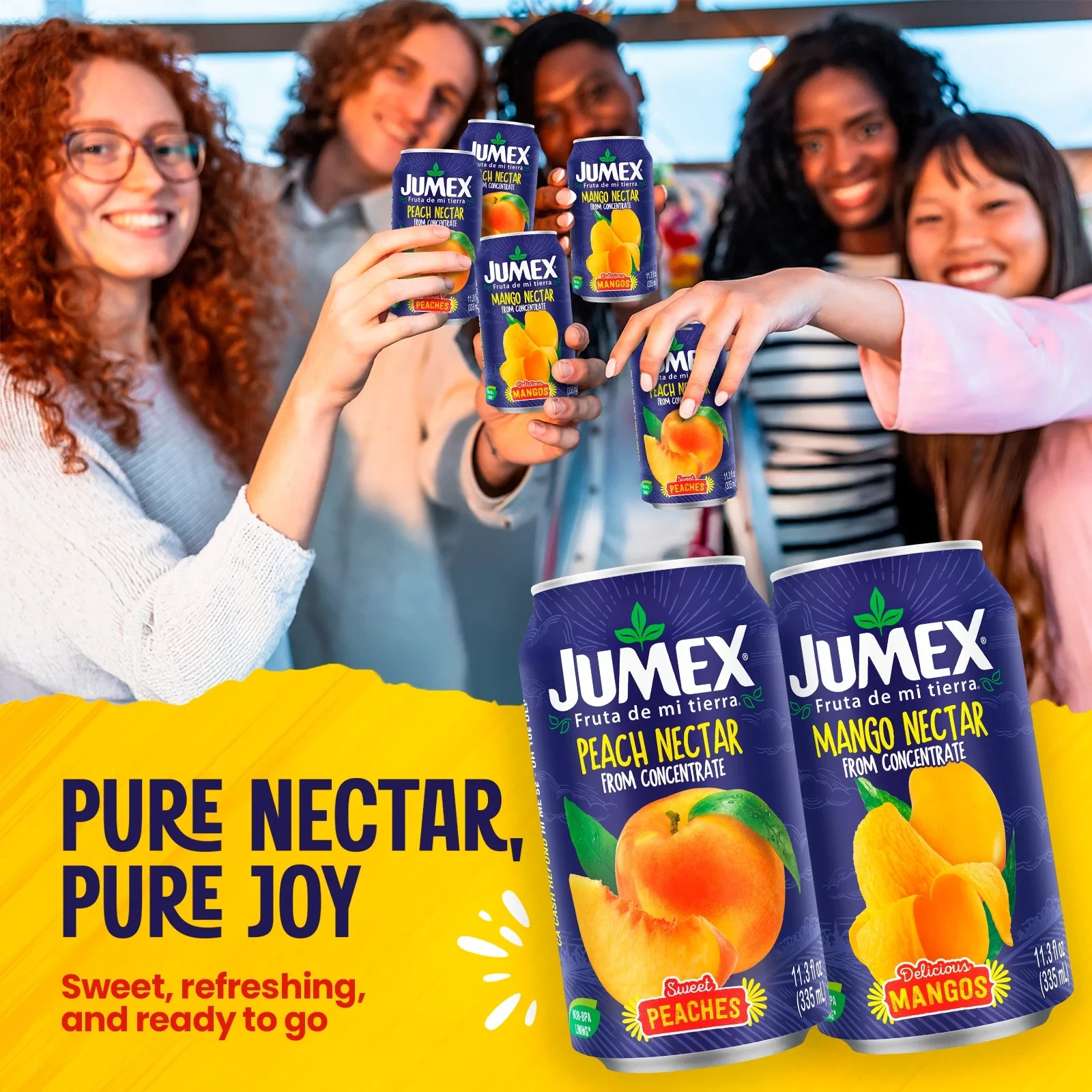 Jumex Mango Nectar Juice & Peach Nectar Juice, 11.3 fl oz, 12 pack