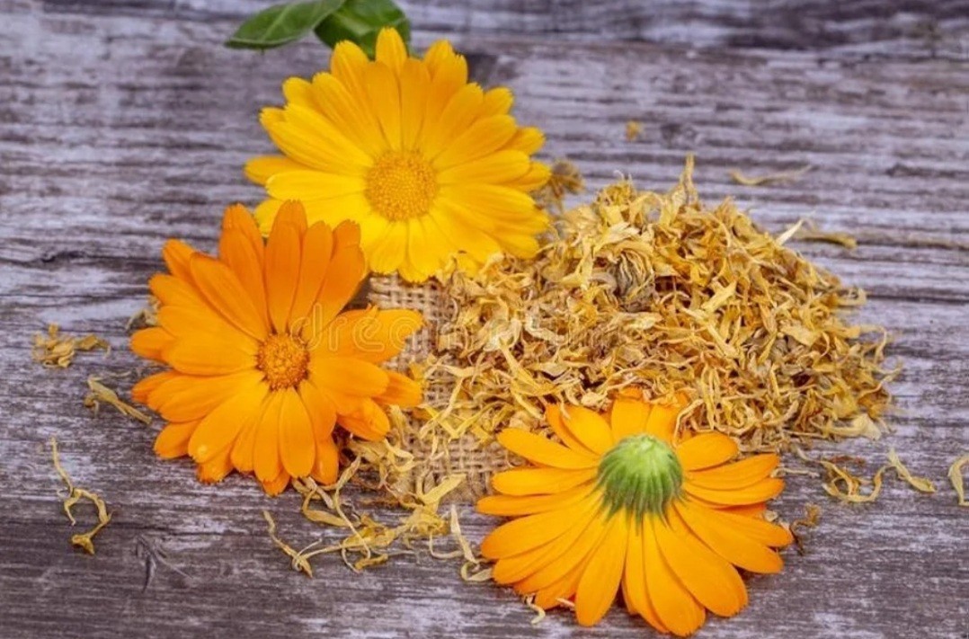 Organic Pure Calendula Flowers Dried ~ Calendula Officinalis ~ 100% Premium