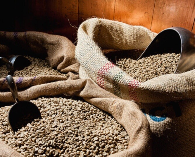5 LBS HIGHLAND PERUVIAN UNROASTED GREEN COFFEE BEANS – ORGANICALLY GROWN ARABICA
