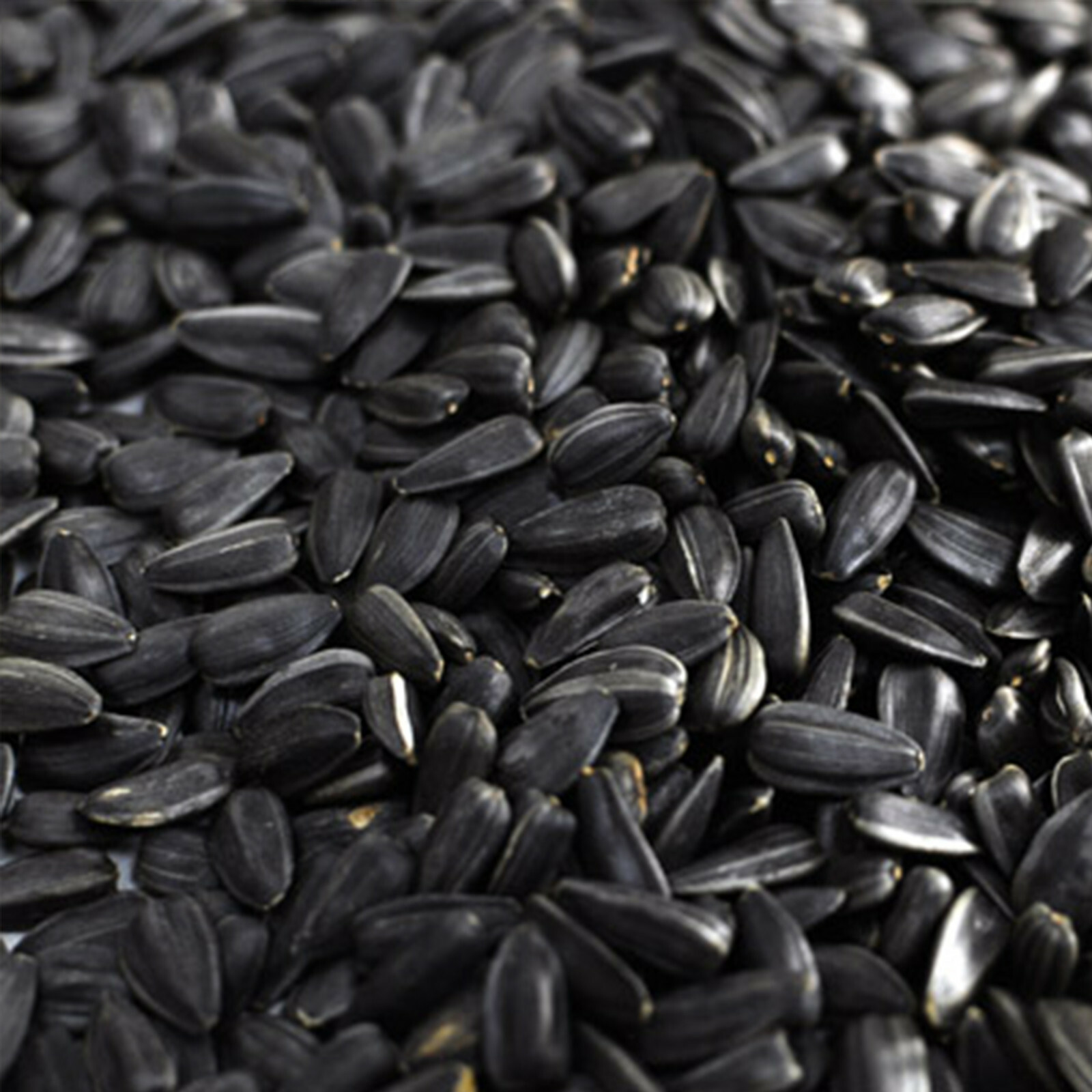 [3 PACK] Roasted Sunflower Seeds Babkini Семечки Russian US Seller 17.63oz/500g