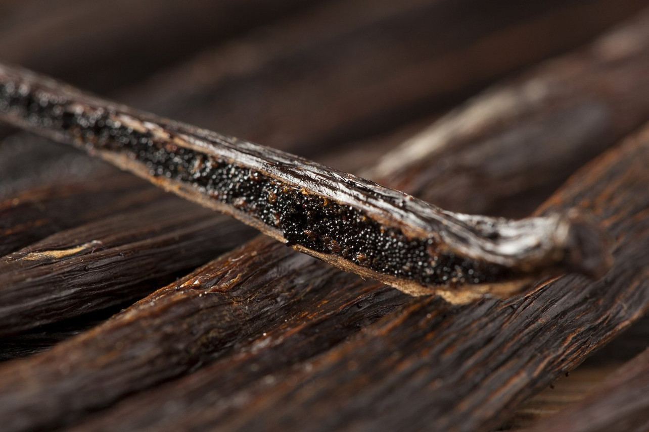 25 Organic Madagascar Vanilla Beans Whole FRESH Grade A Pods for Extract Baking