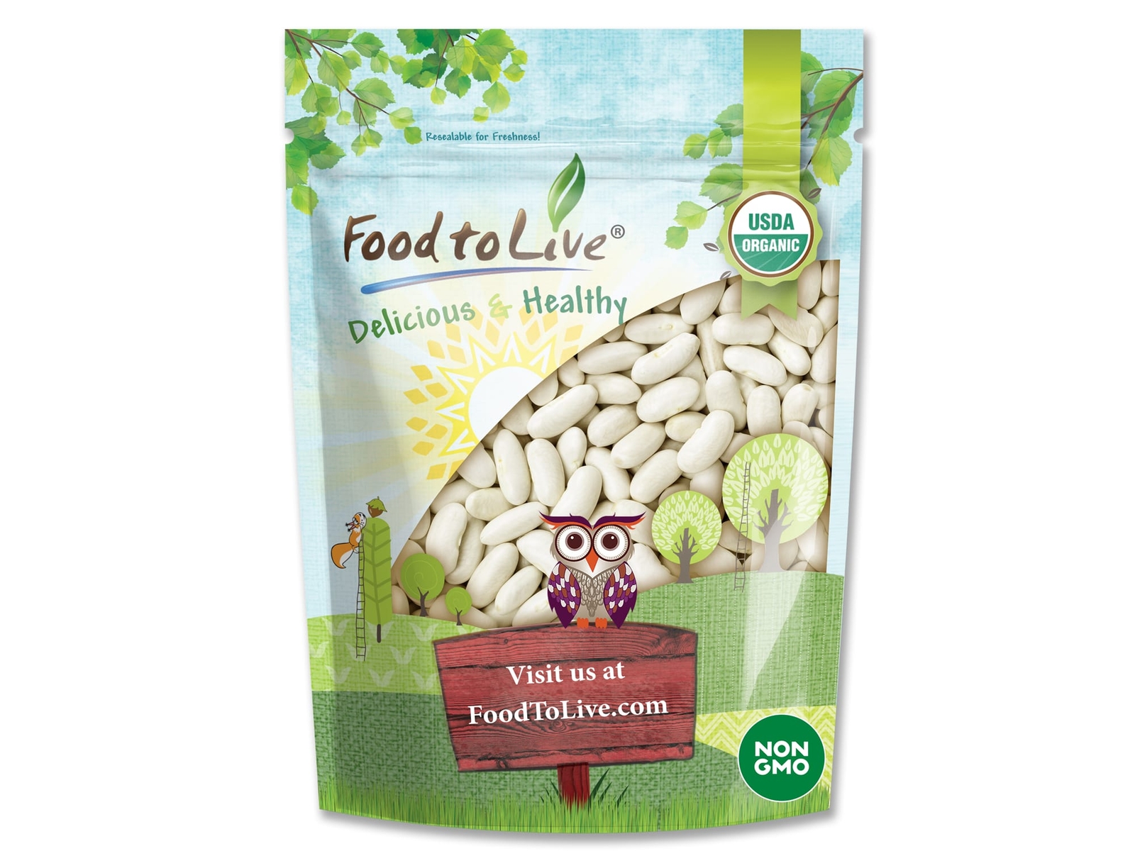 Organic Cannellini Beans – Non-GMO,Raw,Dry,Kosher,Sirtfood,Bulk- by Food To Live