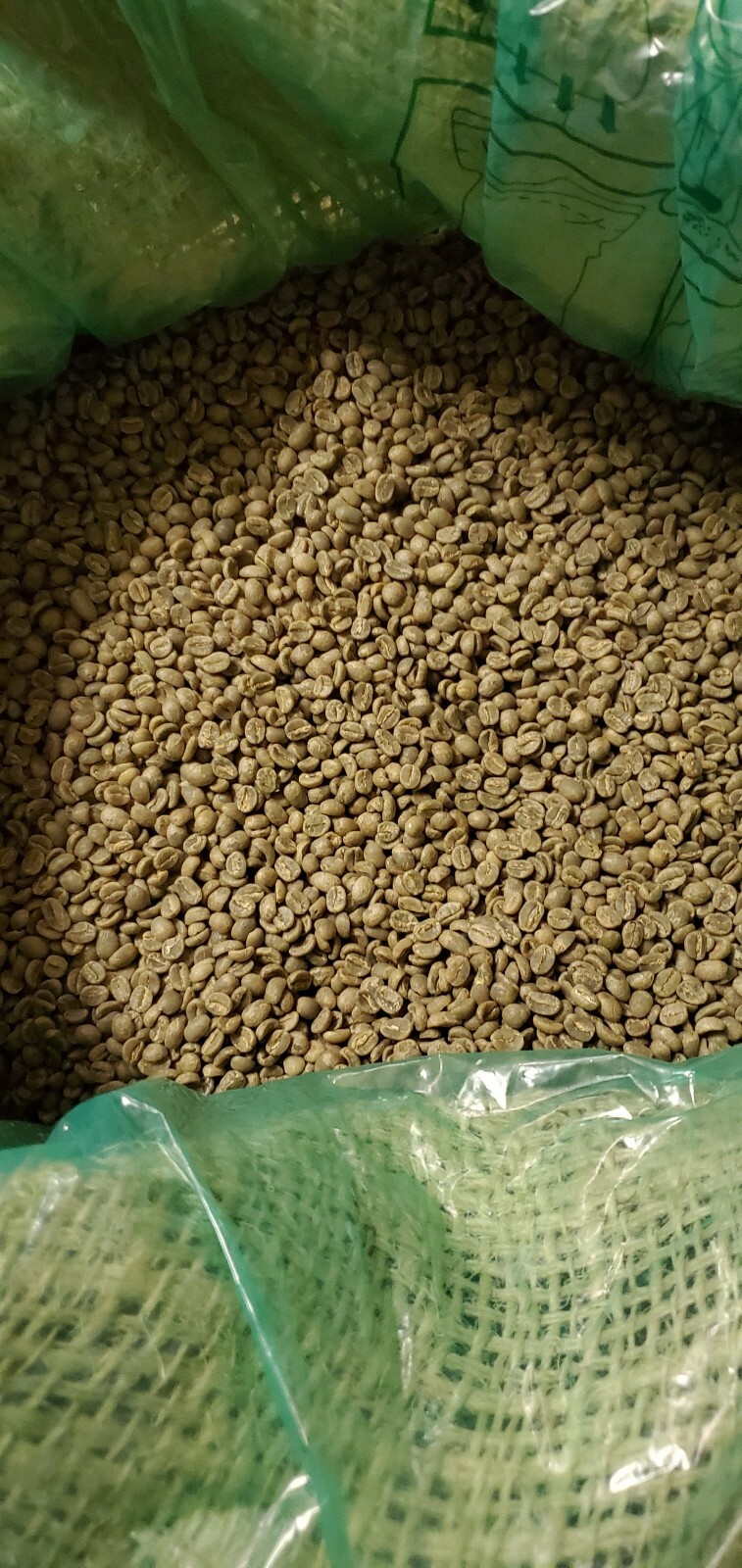 5 LB AFRICA KENYA KENYAN GREEN UNROASTED COFFEE BEANS FIVE POUND – ARABICA