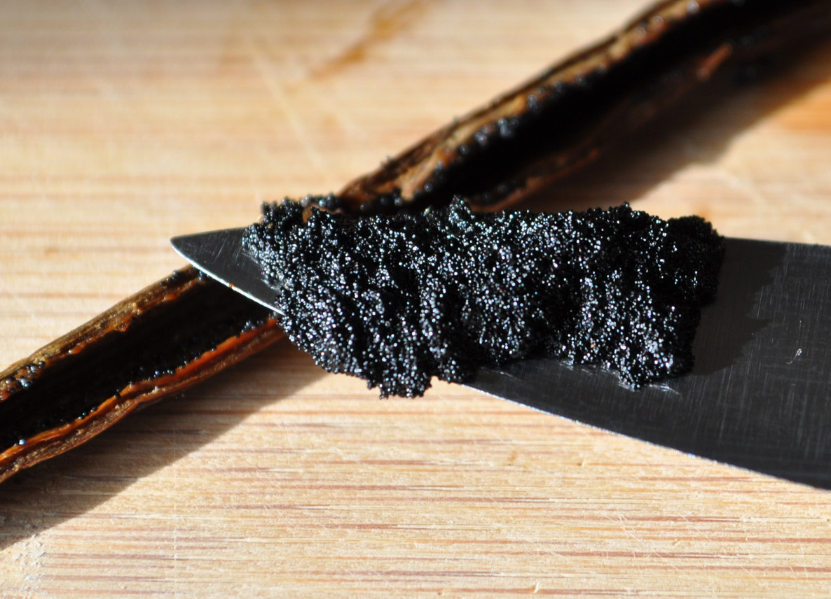 25 Organic Madagascar Vanilla Beans Whole FRESH Grade A Pods for Extract Baking
