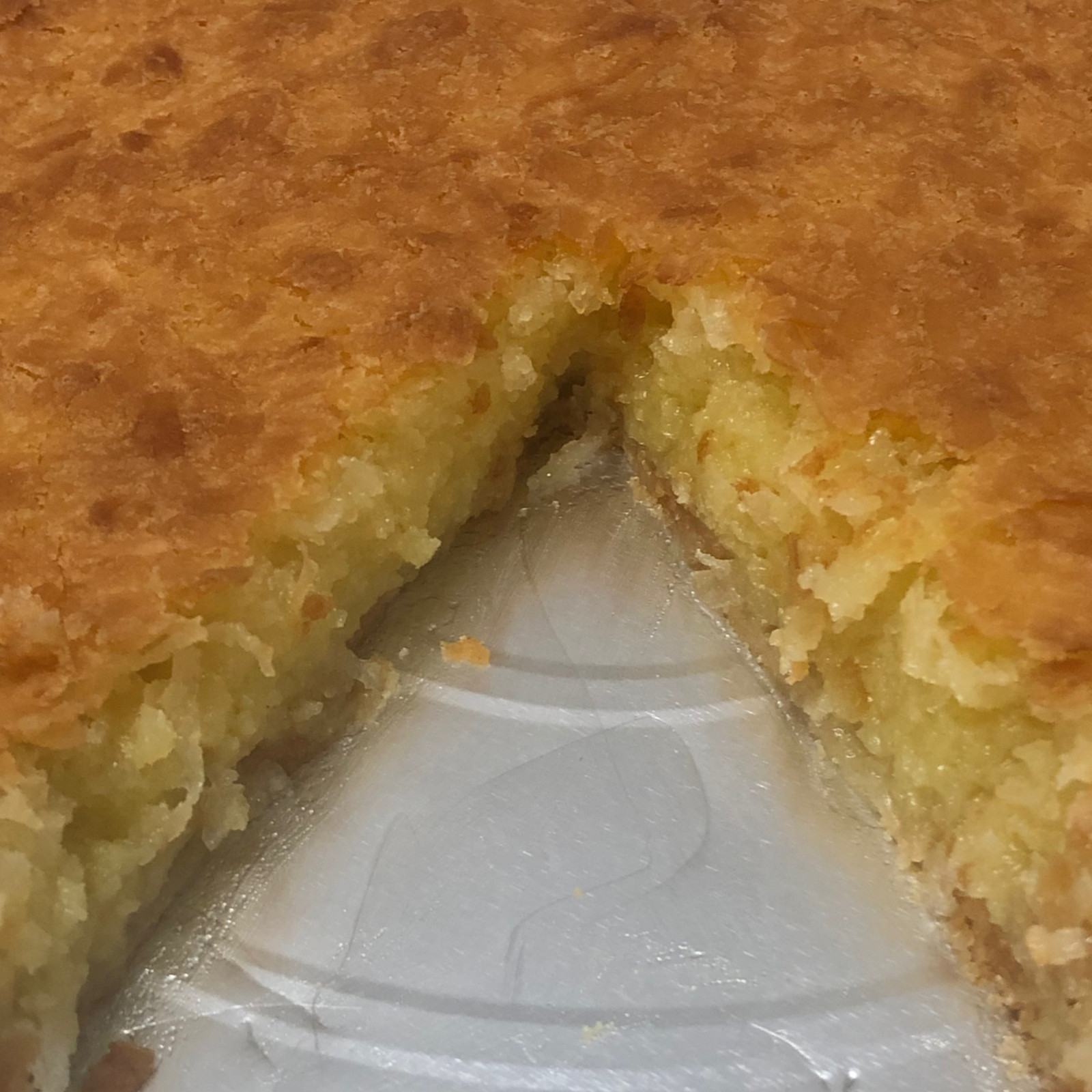 Coconut Custard Pie Gourmet -Old Fashioned Handmade with Rich Creamy Filling