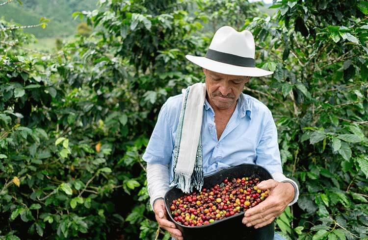 1 LB COLOMBIA SUPREMO SAMPLE ROASTED COFFEE WHOLE BEAN, GROUND – ARABICA