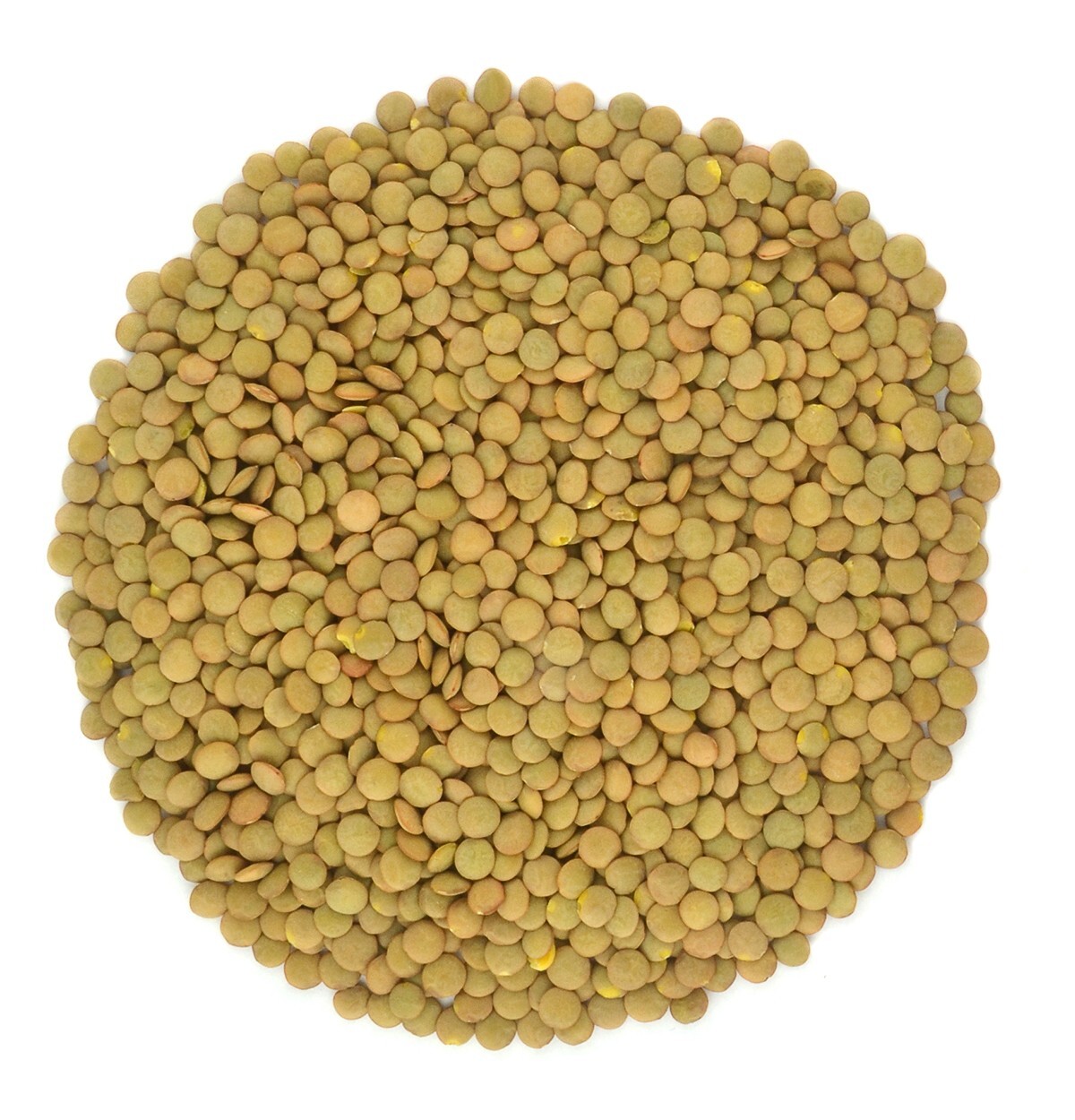 Organic Green Lentils Whole Raw, High Fiber Non-GMO-Bulk
