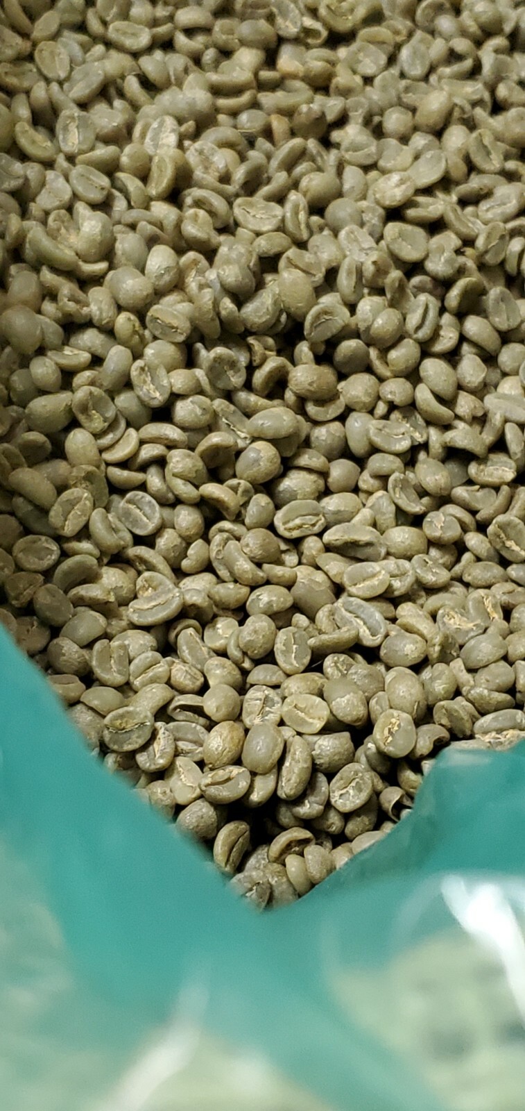 5 LB AFRICA KENYA KENYAN GREEN UNROASTED COFFEE BEANS FIVE POUND – ARABICA