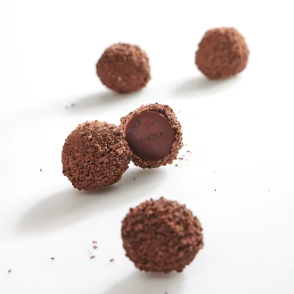 Valrhona Alpaco Ecuador 66% French Dark Couverture Chocolate Feves