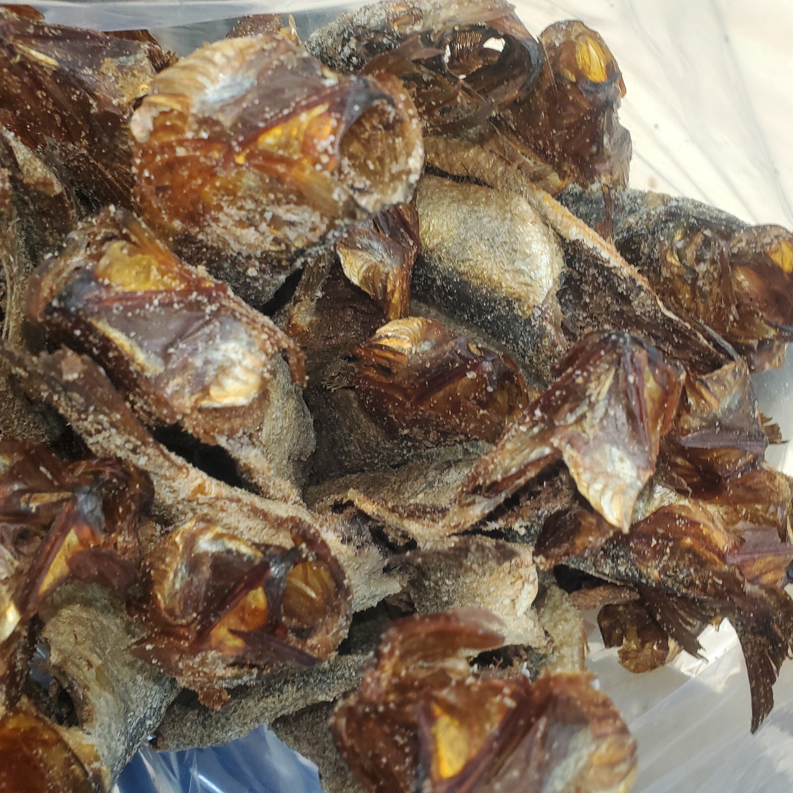 Salted SMOKE HERRING 1lb+ to 18lb /buy 5lb get 1lb free