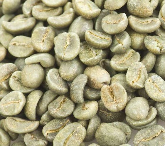 5 LB COLOMBIA COLOMBIAN EXCELSO UNROASTED GREEN COFFEE BEANS – ARABICA