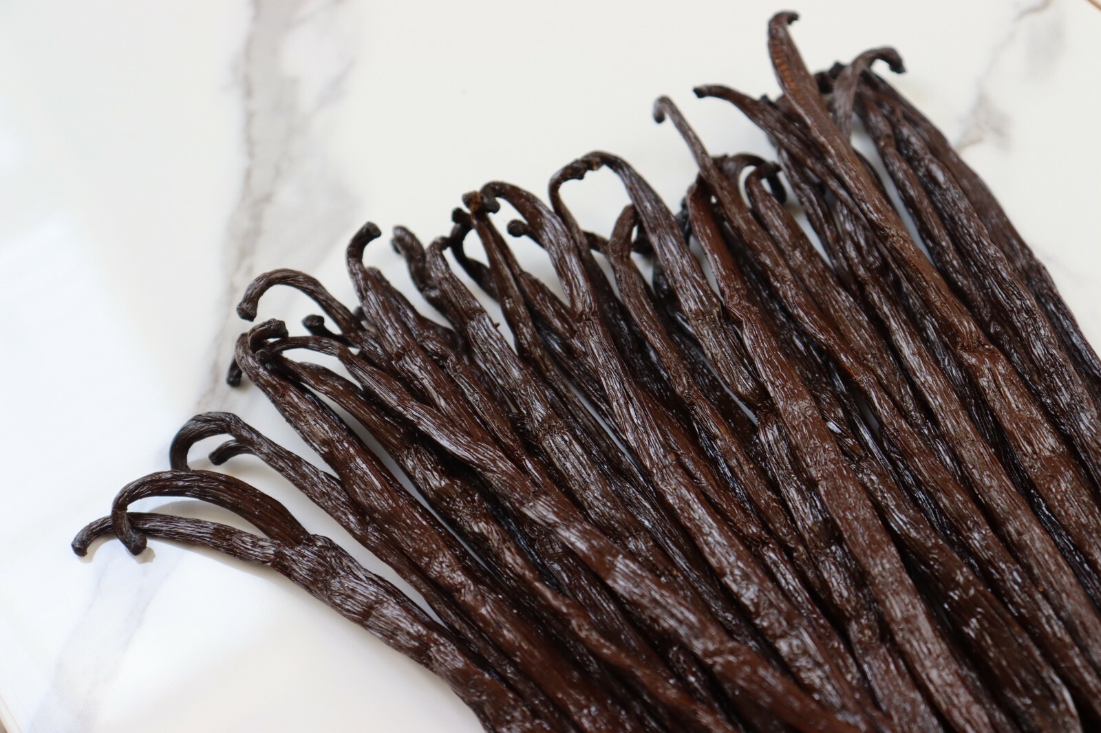 10 Fresh Madagascar Organic Grade A Bourbon Vanilla Beans [Whole]