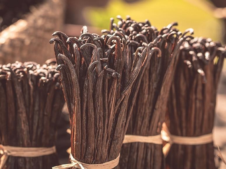 Premium Indian Grade A Vanilla Beans 16cm Pods for Extract Baking