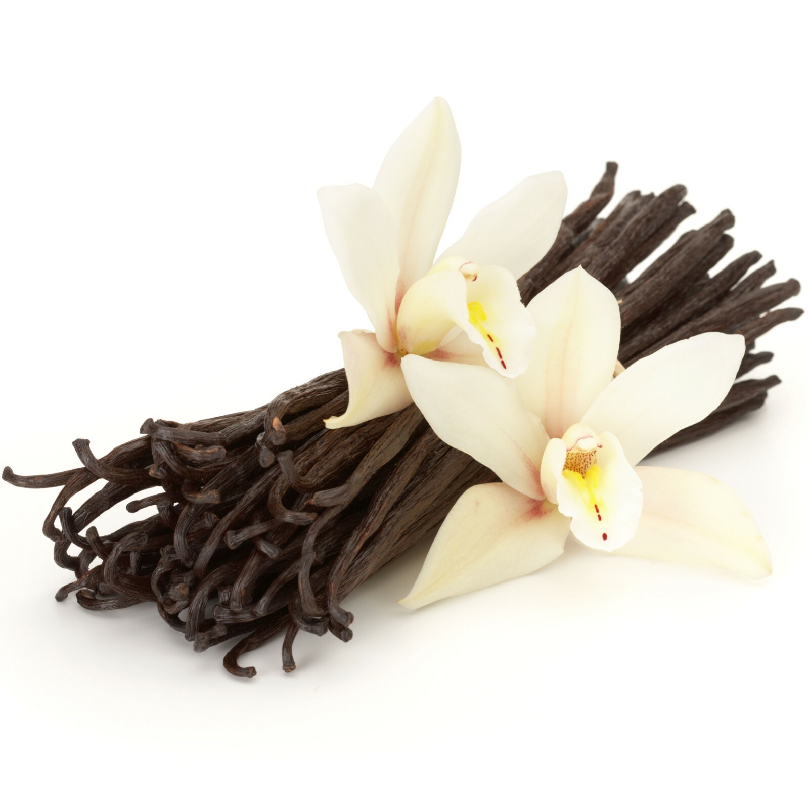 1/4 LB ORGANIC Madagascar Vanilla Beans Grade A Whole(4 Ounces) 6 – 7 Inches