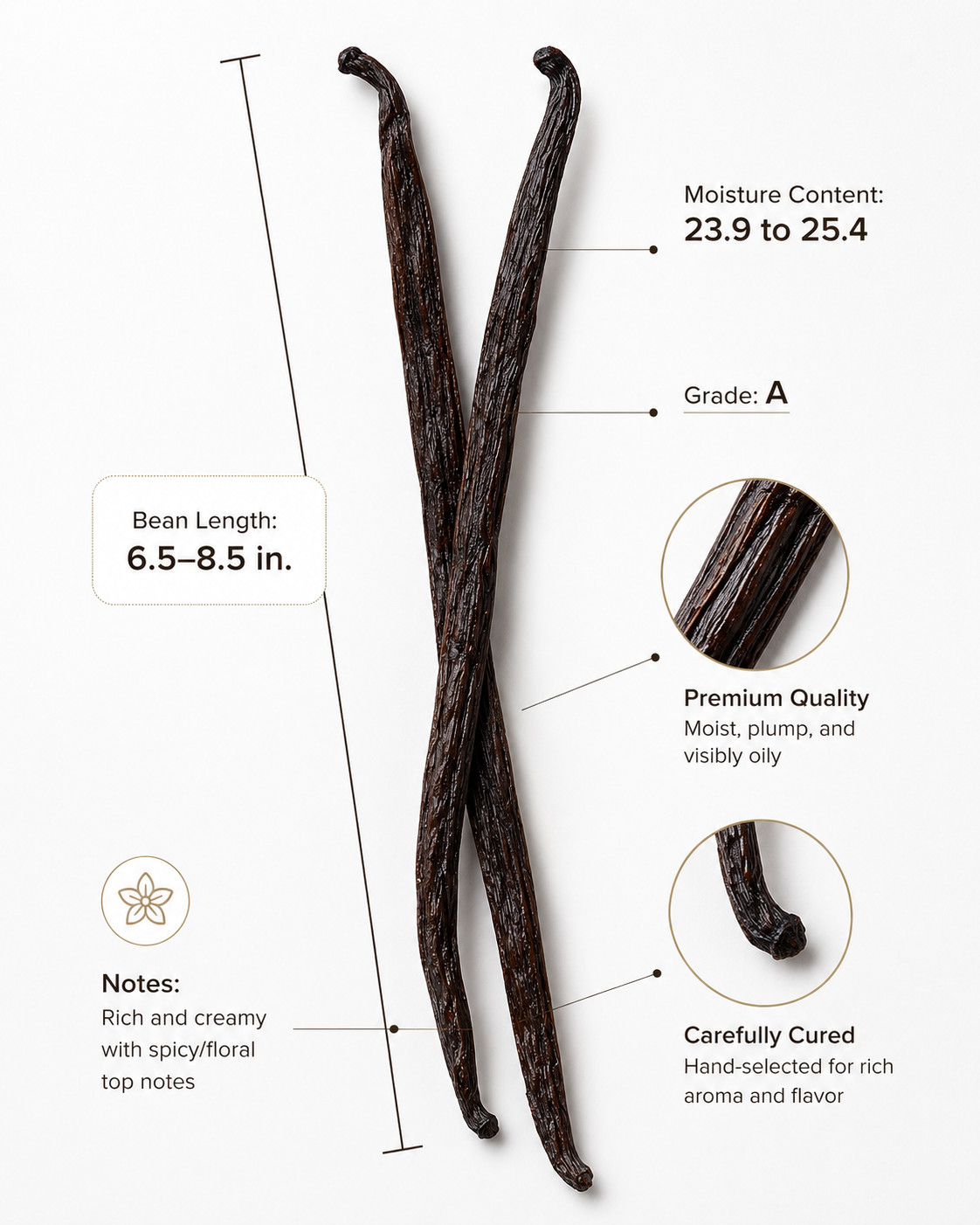 Zanzibar Whole Grade A Vanilla Beans ~1lb (0.92lbs) 425g Bundle