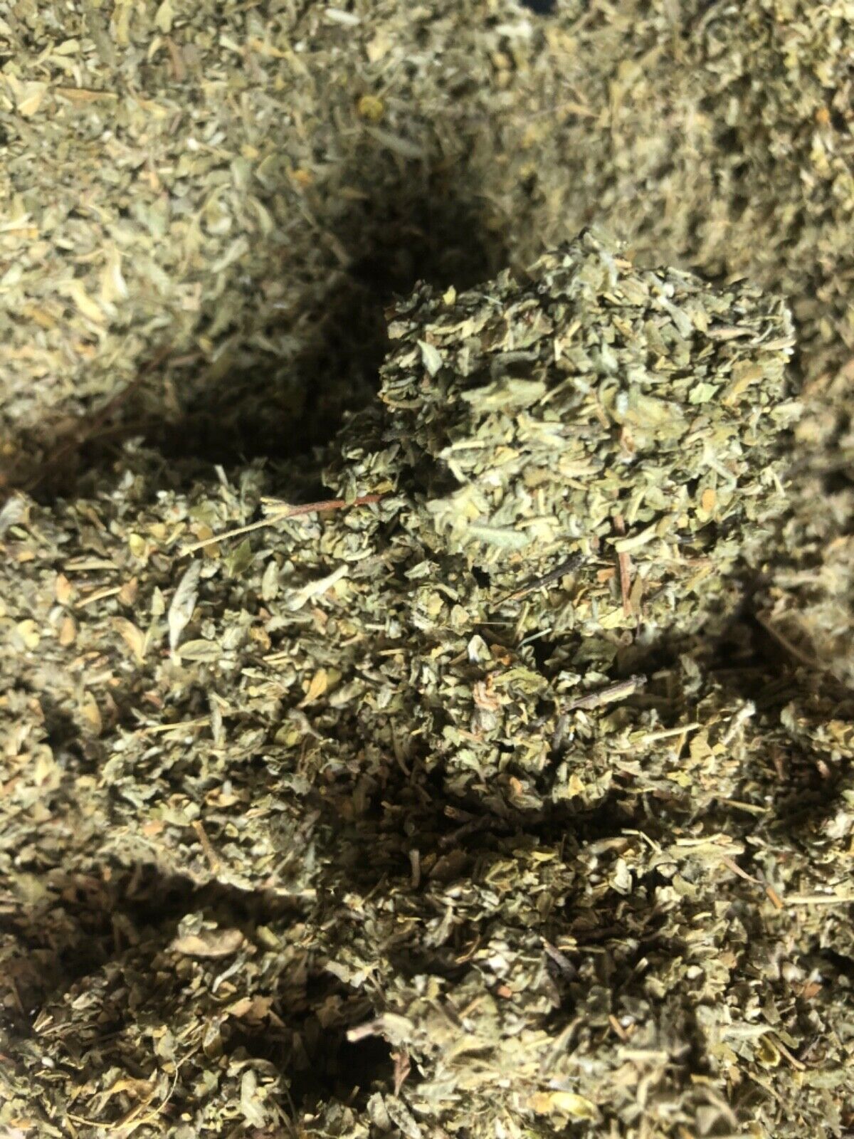 DAMIANA c/s cut herb wild crafted leaves 1 2 4 8 pound lb ounce oz organic