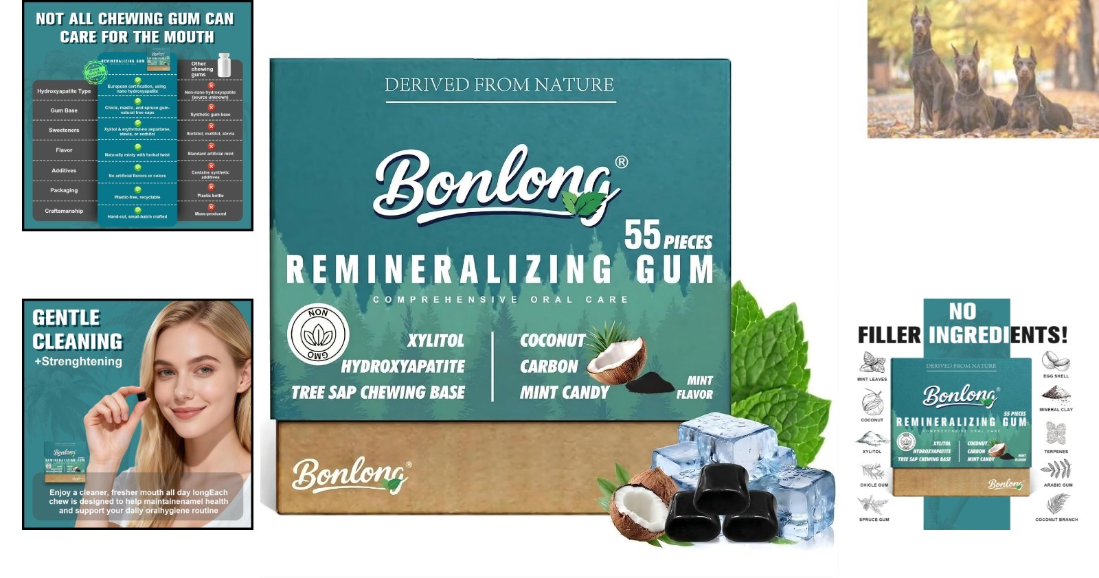 Remineralizing Gum with Hydroxyapatite & Coconut Carbon – 55 Count