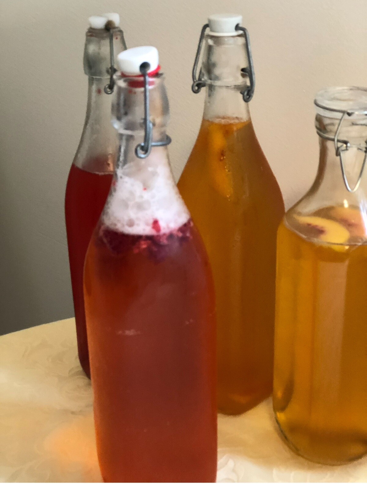 IBIV Live Organic Kombucha Scoby Over 1/4 Cup Strong Starter Tea 3.2′- 4″ SCOBY