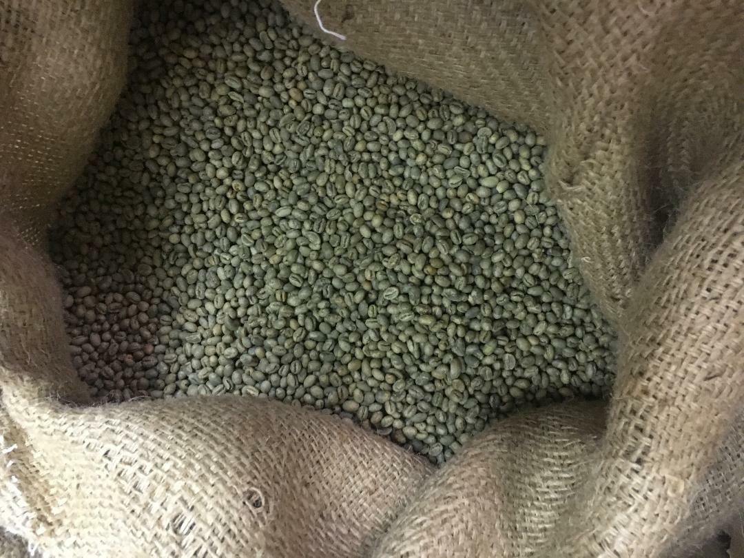 5 LB FRESH UNROASTED TANZANIAN TANZANIA PEABERRY GREEN COFFEE BEANS – ARABICA