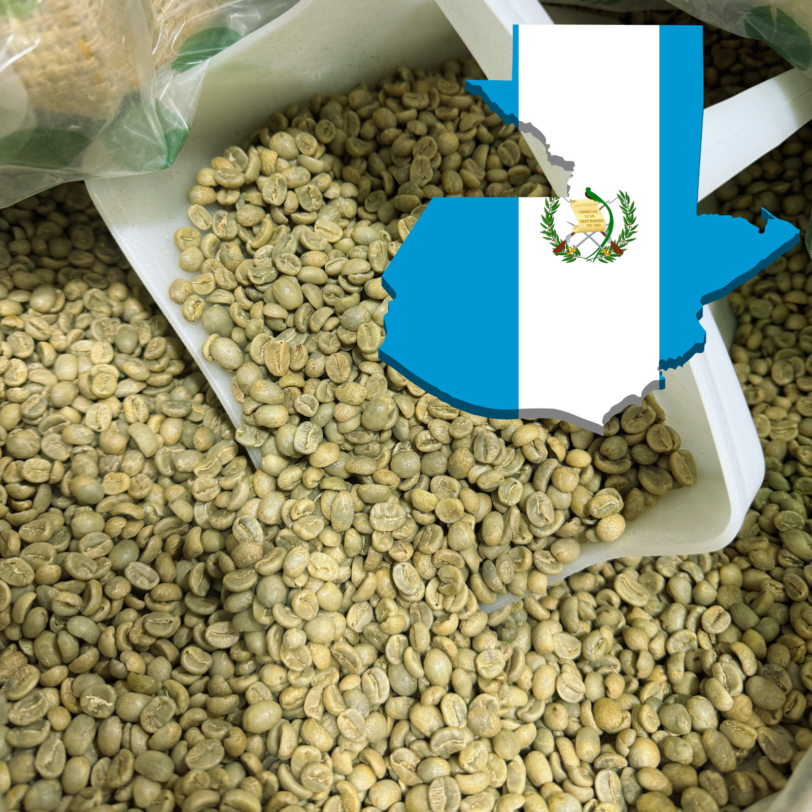 5 LB GUATEMALA, UNROASTED GREEN COFFEE BEANS FIVE POUND – ARABICA, SPECIALTY