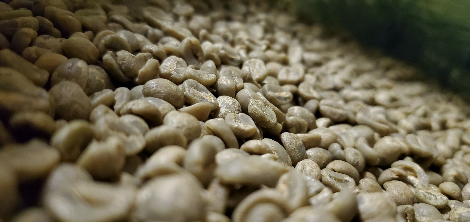 5 LB AFRICA KENYA KENYAN GREEN UNROASTED COFFEE BEANS FIVE POUND – ARABICA