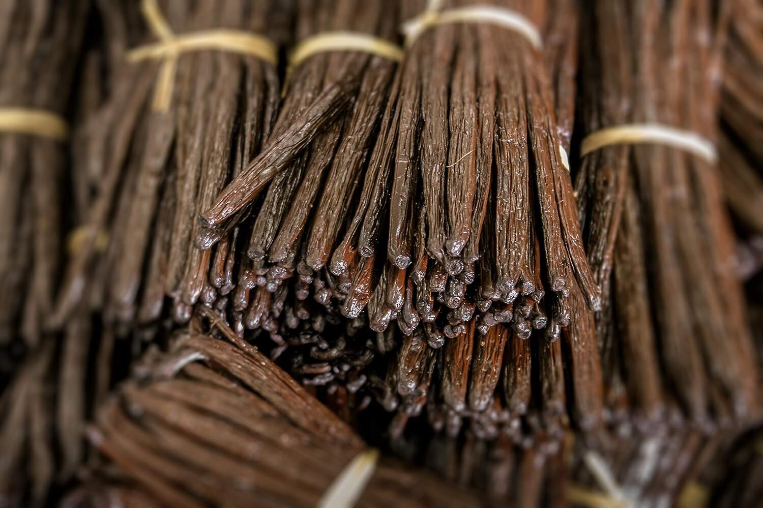 50 Organic Madagascar Vanilla Beans Grade A Bulk Pods for Extract Baking Cooking