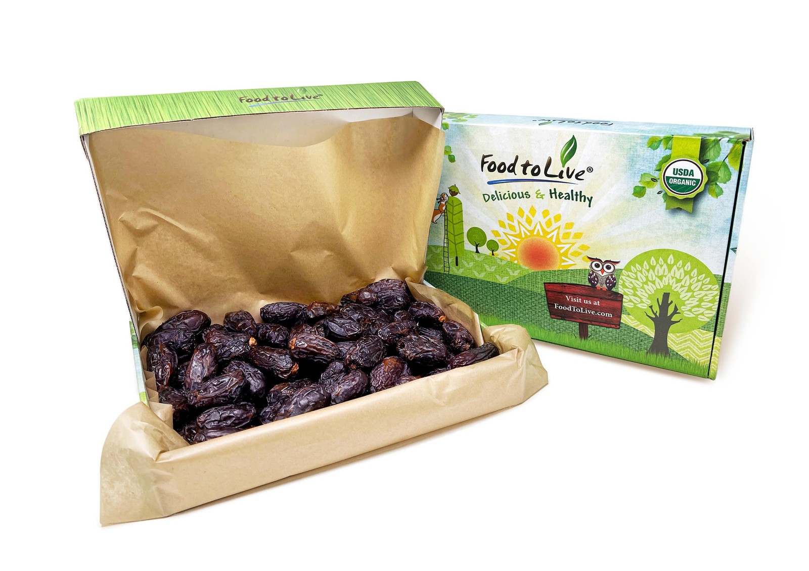 Organic Medjool Dates – Non-GMO, Raw, Vegan – by Food To Live