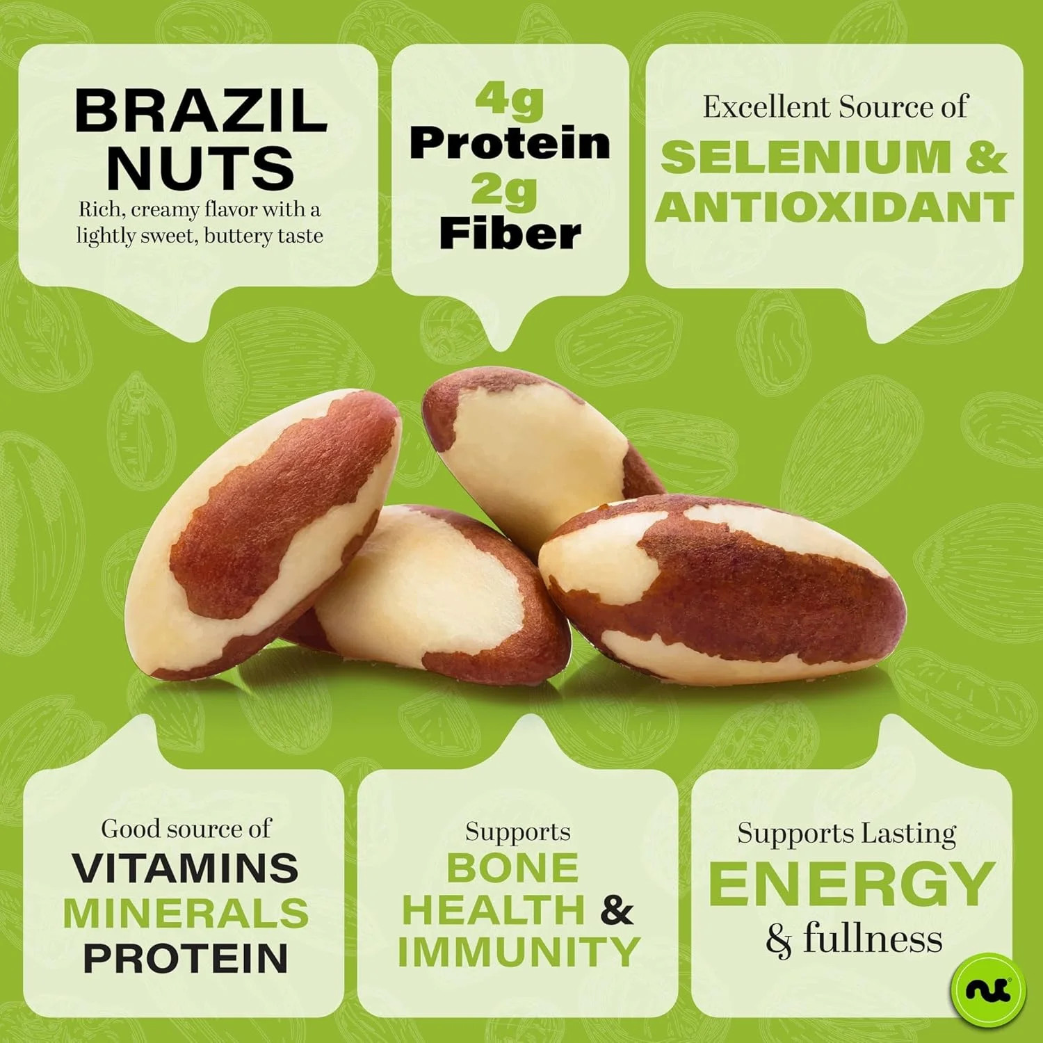 NUT CRAVINGS – Raw Brazil Nuts, Unsalted, No Shell, Whole, (32oz – 2 LB) Bulk Nu
