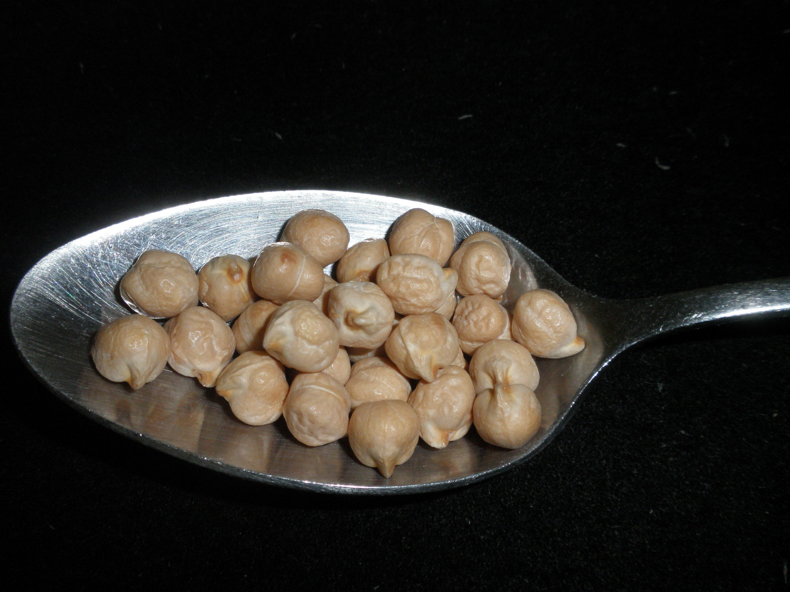 Garbanzo Beans, Chick Peas, USDA Certified ORGANIC, Non-GMO, Hummus, BULK